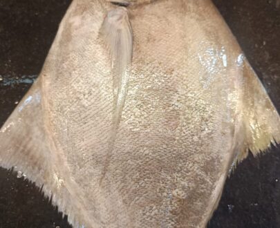 Pomfret Fish