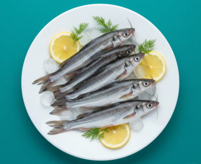 kadal Viral(Sea catfish)