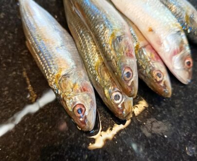 Sardine (Mathi) Image 2