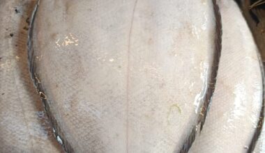 fresh-nakku-fish-sole-fish-%e0%ae%a8%e0%ae%95%e0%af%8d%e0%ae%95%e0%af%81-%e0%ae%ae%e0%af%80%e0%ae%a9%e0%af%8d-premium-sea-catch