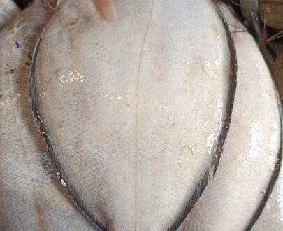 Sole Fish (Nakku Fish)