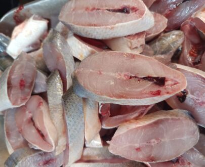 fresh-indian-salmon-kaala-meen-%e0%ae%95%e0%ae%be%e0%ae%b2%e0%ae%be-%e0%ae%ae%e0%af%80%e0%ae%a9%e0%af%8d-premium-sea-catch