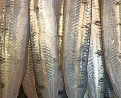 fresh-snakehead-murrel-fish-%e0%ae%b5%e0%ae%bf%e0%ae%b0%e0%ae%be%e0%ae%b2%e0%af%8d-%e0%ae%ae%e0%af%80%e0%ae%a9%e0%af%8d-premium-freshwater-catch